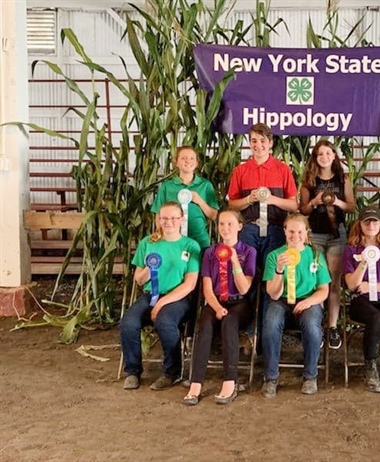 Monroe County 4-H Members NYS Fair Horse Experience