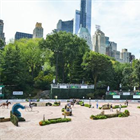 Rolex Central Park Horse Show