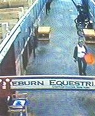 State police still looking for woman who stole saddles at NYS...