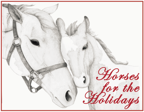 The Haven at Skanda Kicks Off its Horses for the Holidays Program with A Growing Network of Community Caring to Prevent Animal Suffering