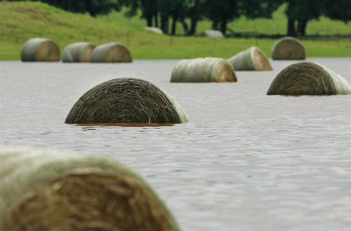 Caution: Rainy Weather Hay