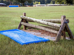 How to Teach Your Horse to Jump Water